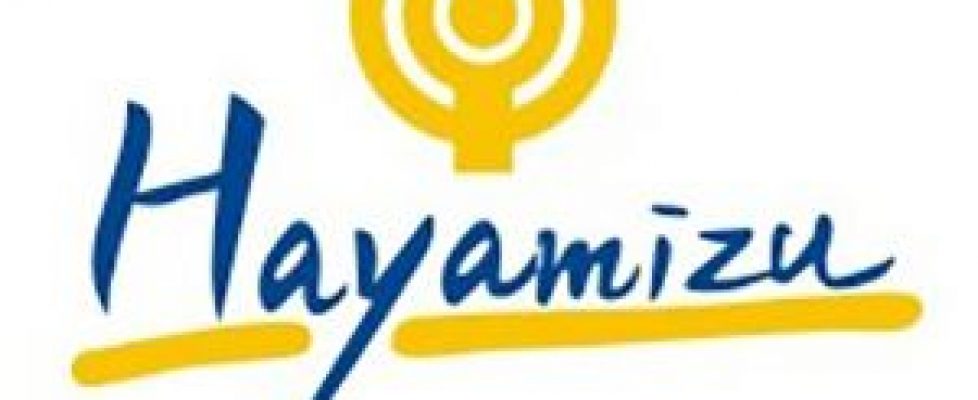 CÔNG TY HAYAMIZU