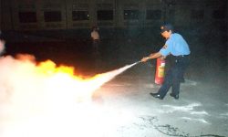 Đào tạo