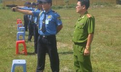 Đào tạo
