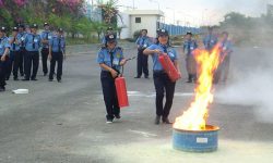 Đào tạo